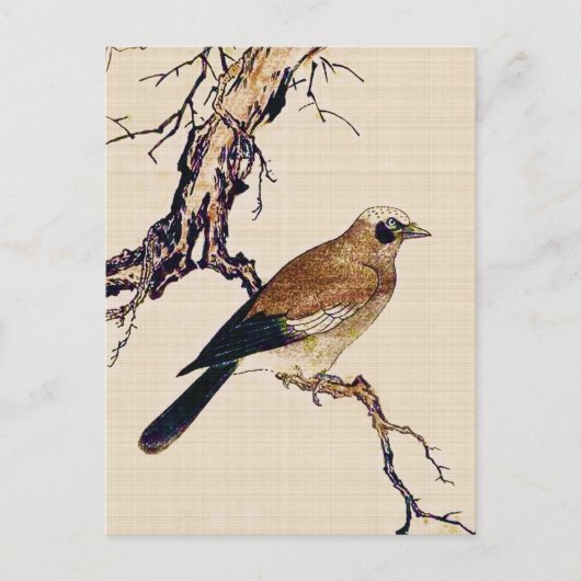 フィンチ、ブラウンおよびベージュ色の日本のな木版画 ポストカード (正面)