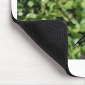 フィンチ マウスパッド (コーナー)