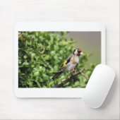 フィンチ マウスパッド (マウス)