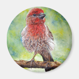 フィンチ マグネット