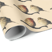 フィンチ ラッピングペーパー (ロールコーナー)