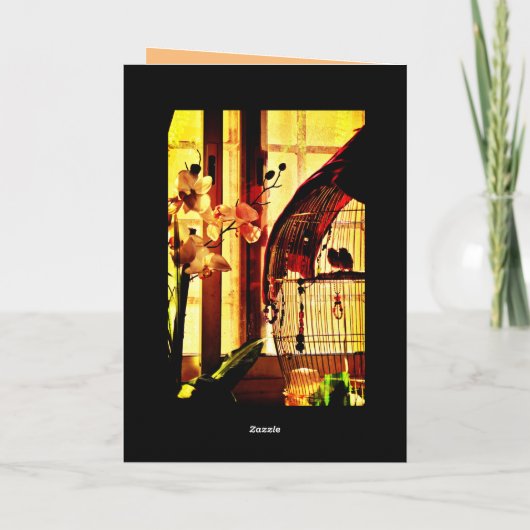 フィンチ・ラブ カード (裏面)