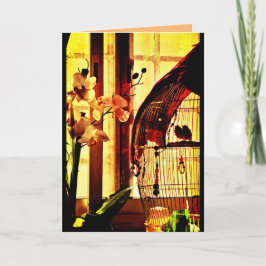 フィンチ・ラブ カード