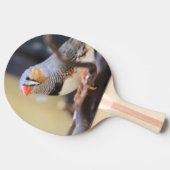 フィンチ 卓球ラケット (横)