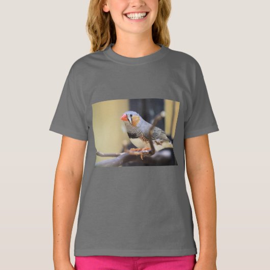 フィンチ Tシャツ (正面)