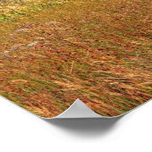 フィンラッガン, スコットランド ポスター (角)