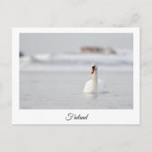 フィンランドおみやげ葉書 ポストカード (正面)