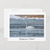 フィンランドのはがきからの挨拶 ポストカード (正面/裏面)