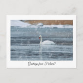 フィンランドのはがきからの挨拶 ポストカード (正面)