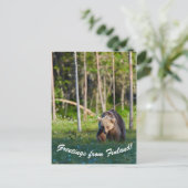 フィンランドのはがきからの挨拶 ポストカード (スタンド正面)