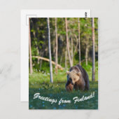 フィンランドのはがきからの挨拶 ポストカード (正面/裏面)