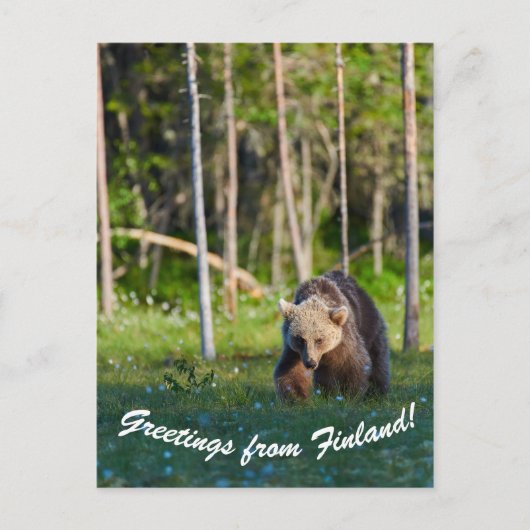 フィンランドのはがきからの挨拶 ポストカード (正面)