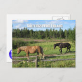 フィンランドのまわりにの田舎で騒ぐ ポストカード (正面/裏面)