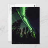 フィンランドのラップランドのオーロラ ポストカード (正面/裏面)