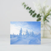フィンランドのラップランドの雪の木 ポストカード (スタンド正面)