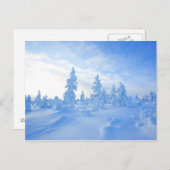 フィンランドのラップランドの雪の木 ポストカード (正面/裏面)
