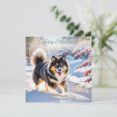 フィンランドのラップランド犬の雪のスタイリッシュな写真 シーズンカード (スタンド正面)