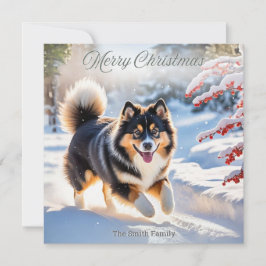 フィンランドのラップランド犬の雪のスタイリッシュな写真 シーズンカード