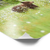 フィンランドの沼地の写真プリント フォトプリント            (角)