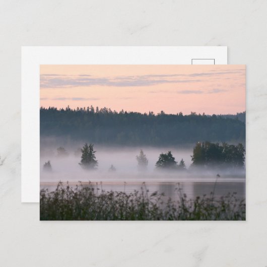 フィンランドの霧に煙る湖の風景ポストカード ポストカード (正面/裏面)