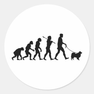 フィンランドのLapphund ラウンドシール