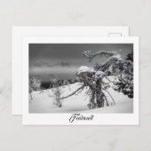 フィンランドエイリアンツリーはがき ポストカード (正面/裏面)
