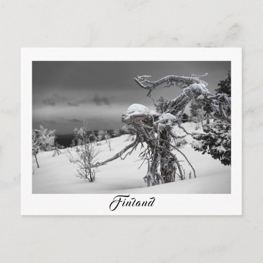 フィンランドエイリアンツリーはがき ポストカード (正面)