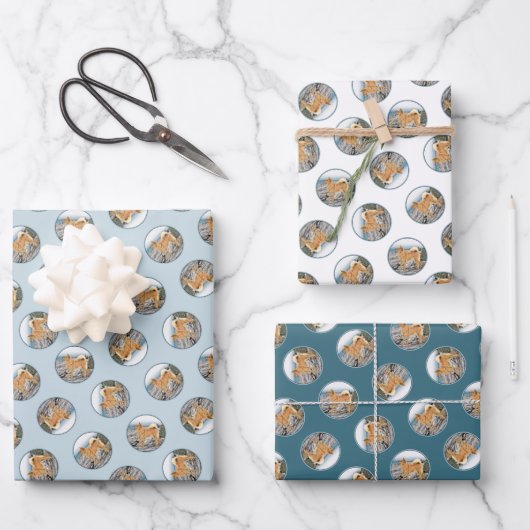 フィンランドスピッツ絵を描シーショアのオリジナルドッグアート ラッピングペーパーシート (正面)