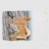 フィンランドスピッツ絵画アットシーショア – Dog Art ゴルフタオル (横)