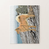 フィンランドスピッツ絵画アットシーショア – Dog Art ジグソーパズル (縦)