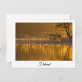 フィンランド湖の風景のお土産はがき ポストカード (正面/裏面)