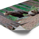 フィンランド産クマ ポスター (角)