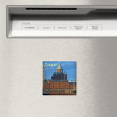 フィンランド磁石 マグネット (インサイチュ (食洗機))