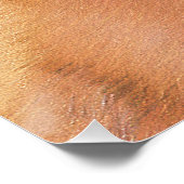 フィンランド絵画スピッツ – かわいいオリジナルドッグアート ポスター (コーナー)