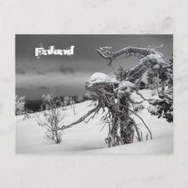 フィンランド観光はがき ポストカード