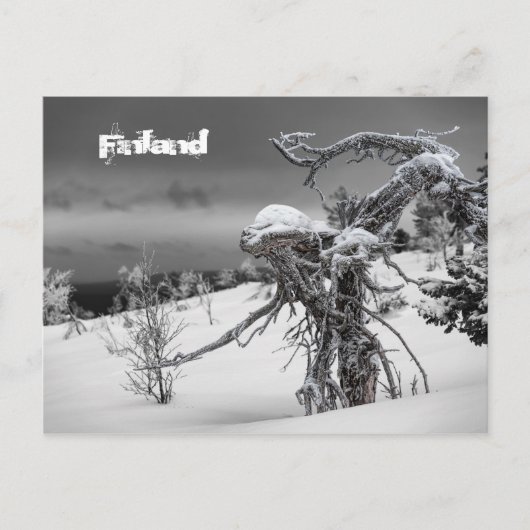 フィンランド観光はがき ポストカード (正面)