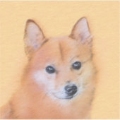 フィンランド語ラプーン,フィンランド語,ラプフィン,ラピンコイラ,ソーム シール (正面)