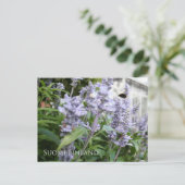 フィンランド・イン・フラワーズ、シリーズ6位 ポストカード (スタンド正面)