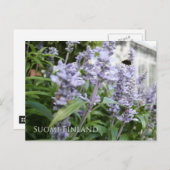 フィンランド・イン・フラワーズ、シリーズ6位 ポストカード (正面/裏面)