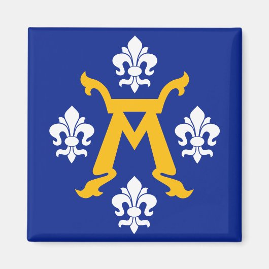 フィンランド・トゥルク国旗 マグネット (正面)