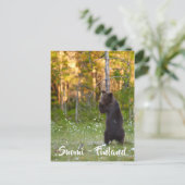 フィンランド/フィンランド自然はがき ポストカード (スタンド正面)