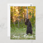 フィンランド/フィンランド自然はがき ポストカード (正面/裏面)