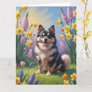 フィンランド・ラップランド犬の春の花の絵 カード