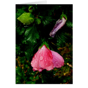 フィンランドHyvääのSyntymäpäivää雨滴