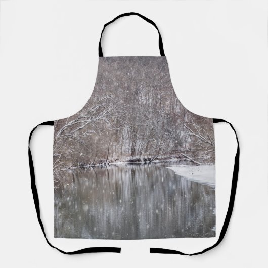 フィンリー川の上の雪 エプロン (正面)