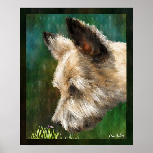 フィン ポスター (正面)