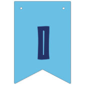 フィージーの旗の旗国際的な日の装飾 バンティングフラッグ (第3の旗)