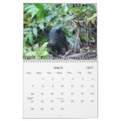 フィージー2010年 カレンダー (3月 2027)