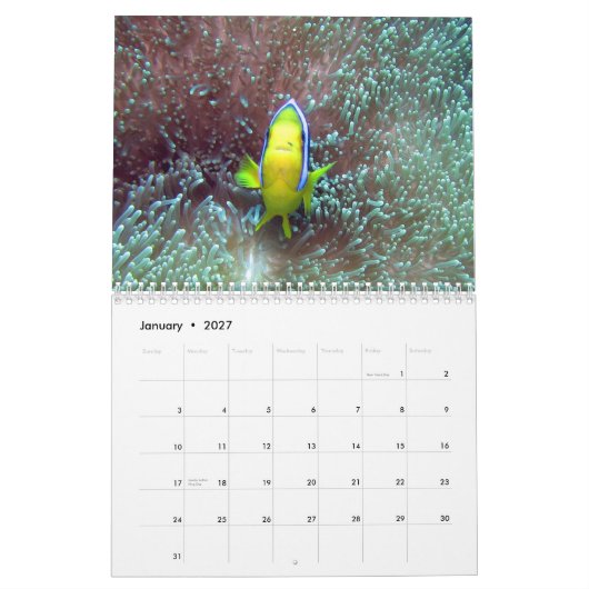フィージー2015のカレンダーのClownfish カレンダー (1月 2027)