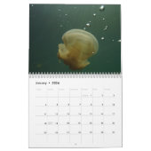 フィージー-ダイバーの楽園2018の壁掛けカレンダー カレンダー (1月 2026)